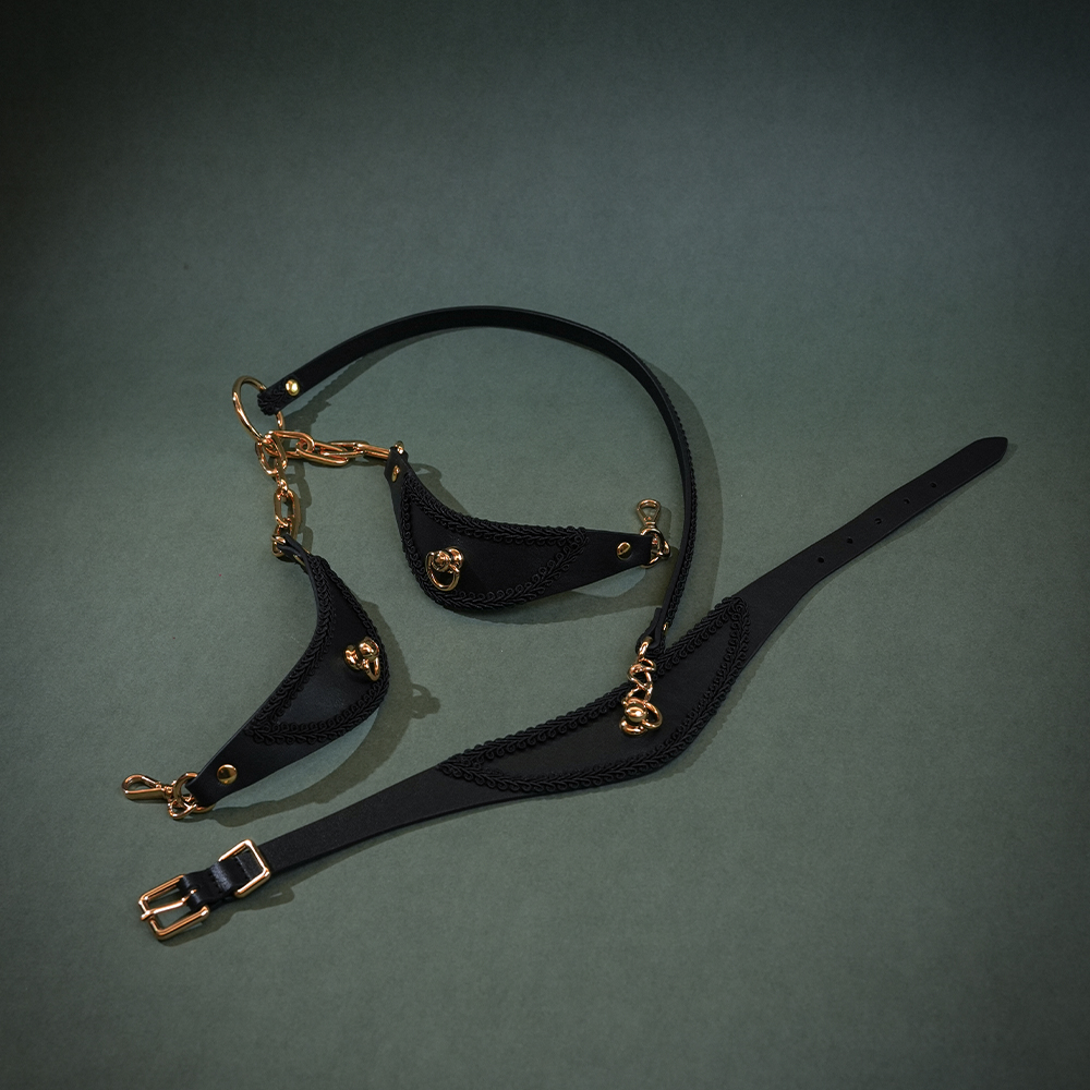 BDSM Leash2