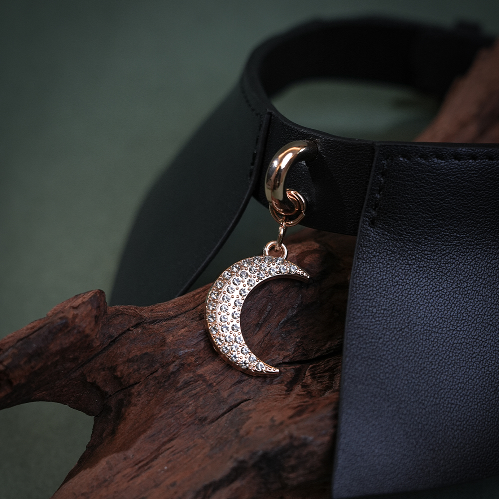 bondage-collar-luxury
