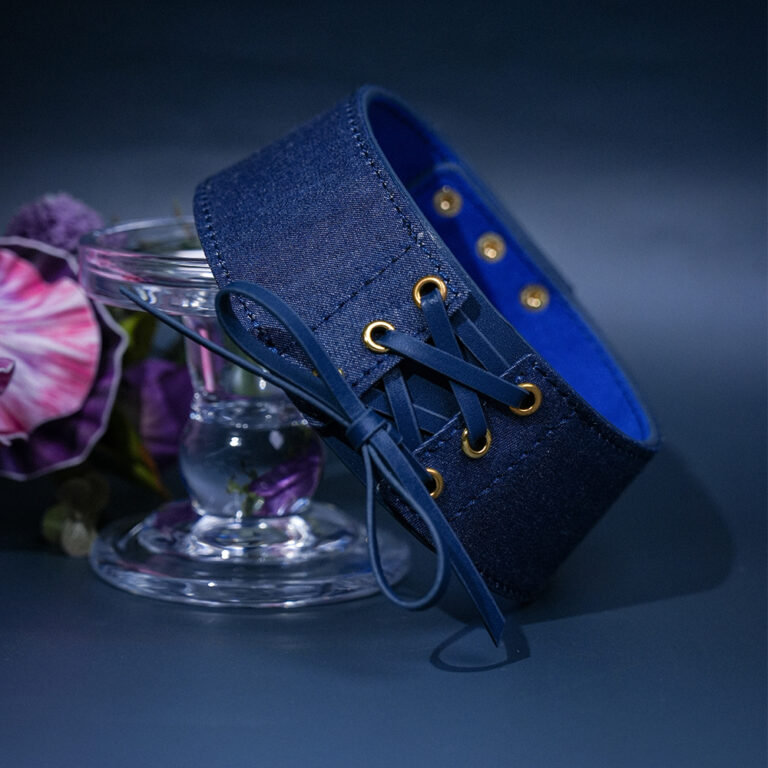 bdsm-collar-western-theme-2025