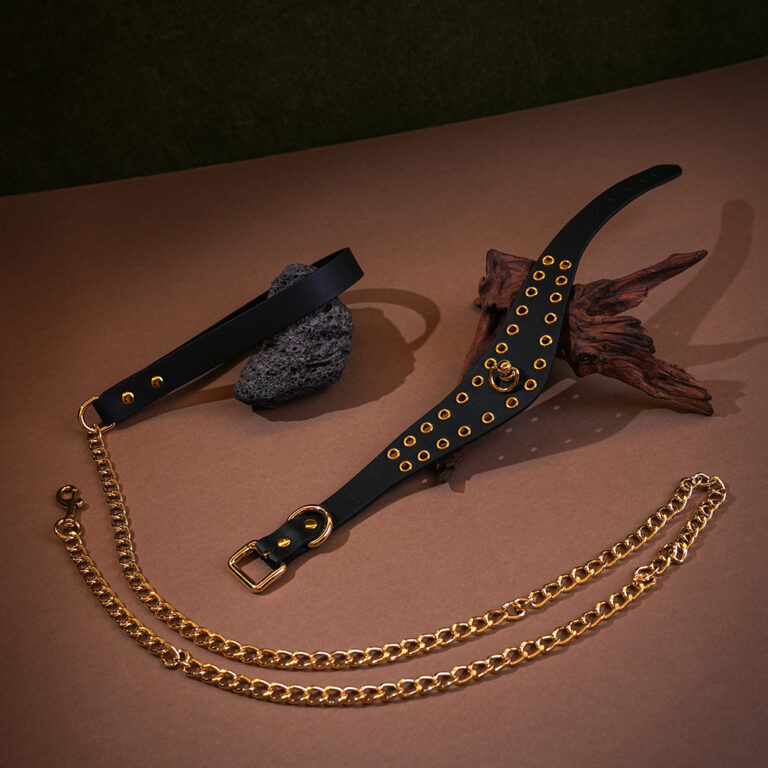 bondage-fetish-collar-d-ring-strap