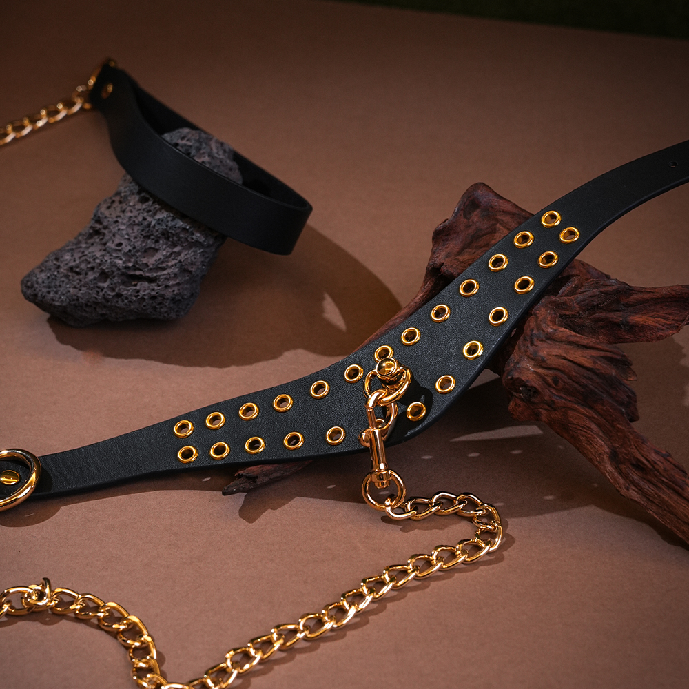 fetish collar for sub and dominant 1