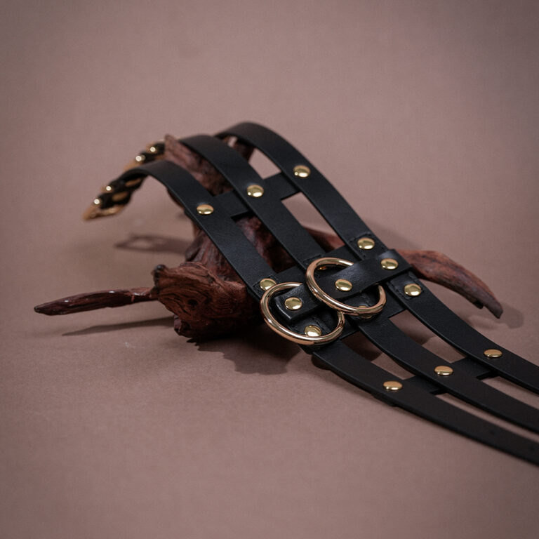 futuristic-bdsm-necklace-harness-control