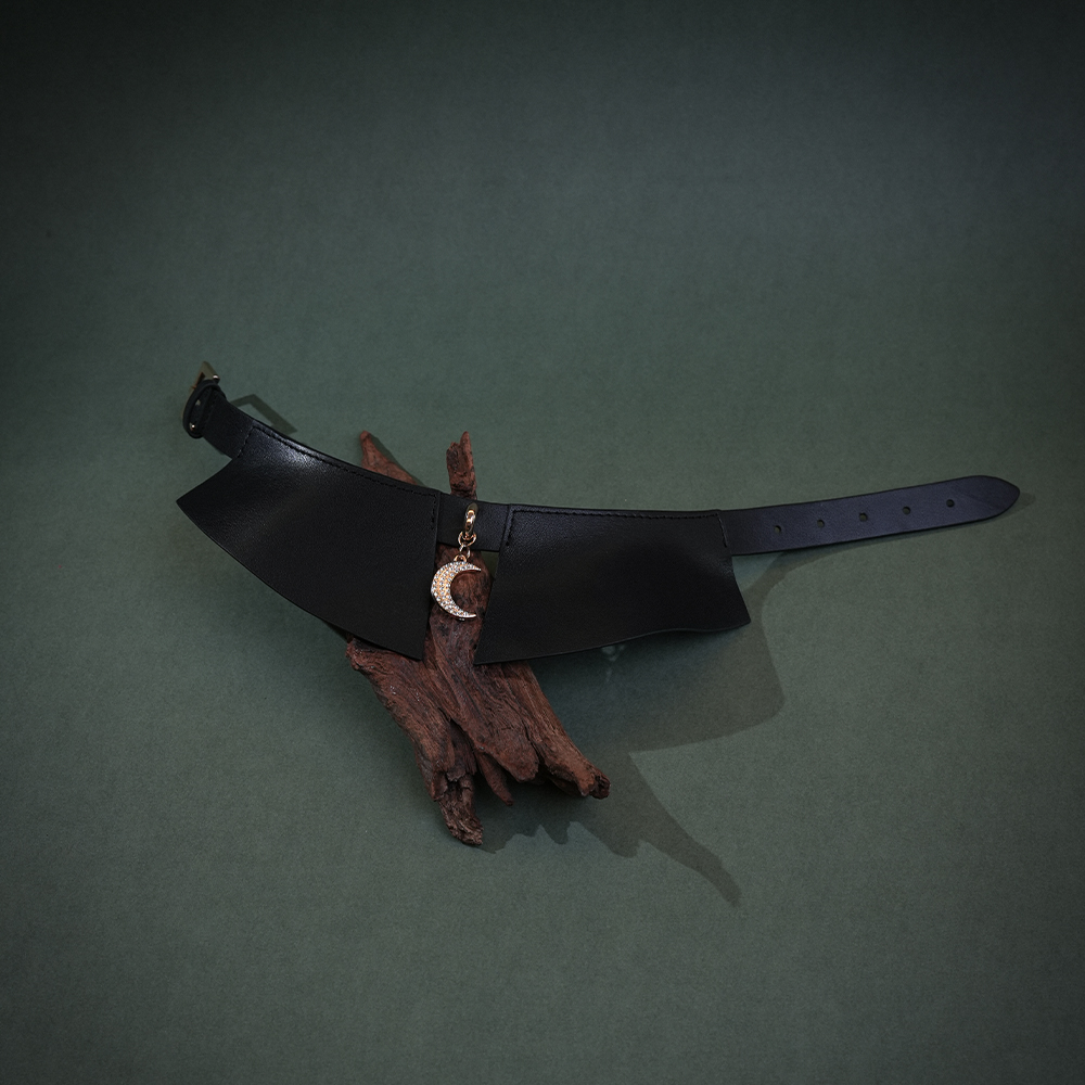 bondage-harness-bondgae-collar