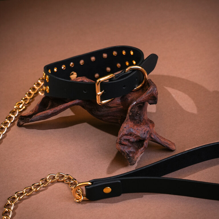 unisex-fetish-collar-bdsm-fashion