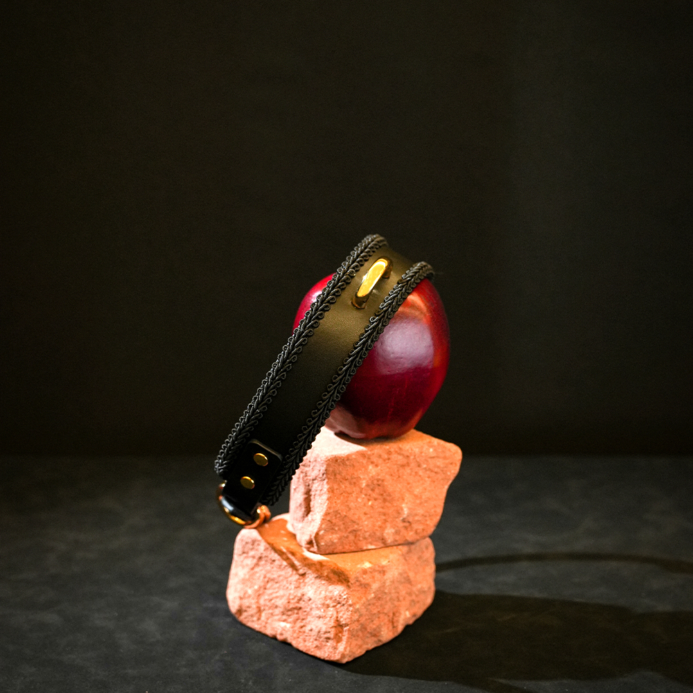 vintage bondage collar leather brass 1