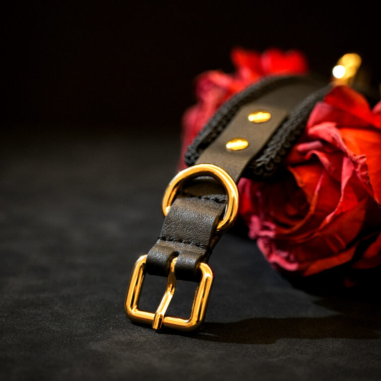 vintage-leather-bondage-collar