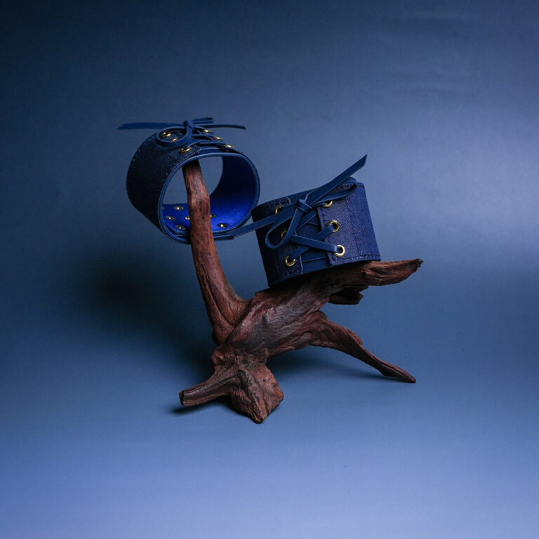 sicheres Fußfessel-Leder-Set