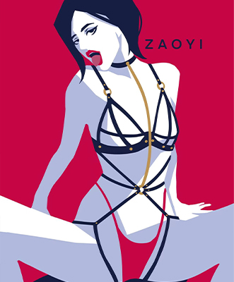 zaoyi sex bondage restraint supplier